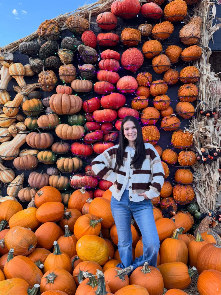 Fall Fashion Trends